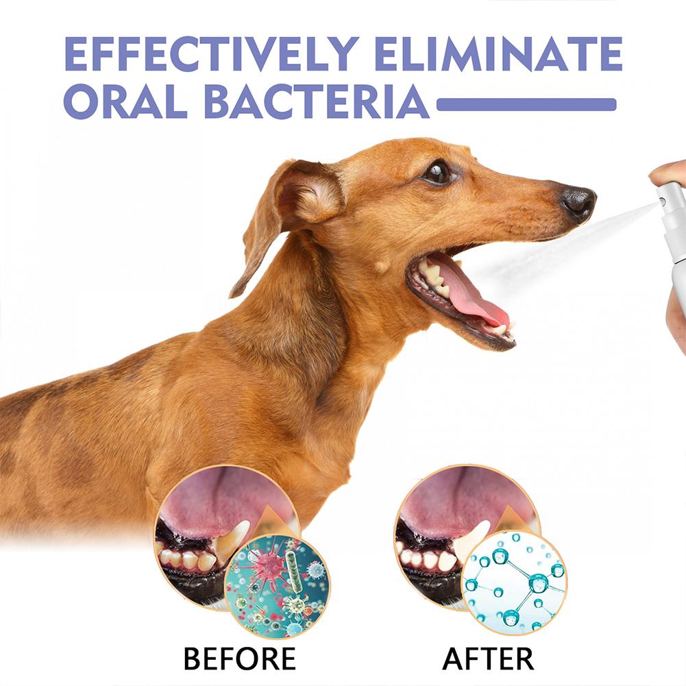 Pet Oral Cleaning Spray Mouth  - Teeth Whitening Products review and price