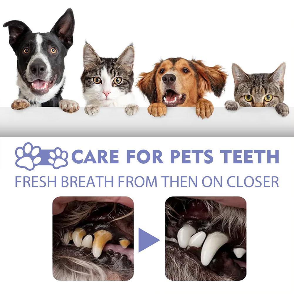 Pet Oral Cleaning Spray Mouth  - Teeth Whitening Products review and price
